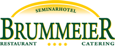 logo Brummeier